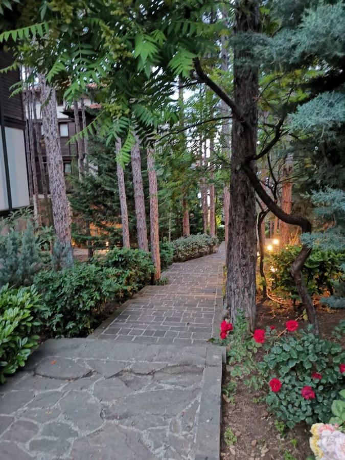 Quiet Apartment With Big Terrace In Santa Marina With Parking Sozopol Buitenkant foto