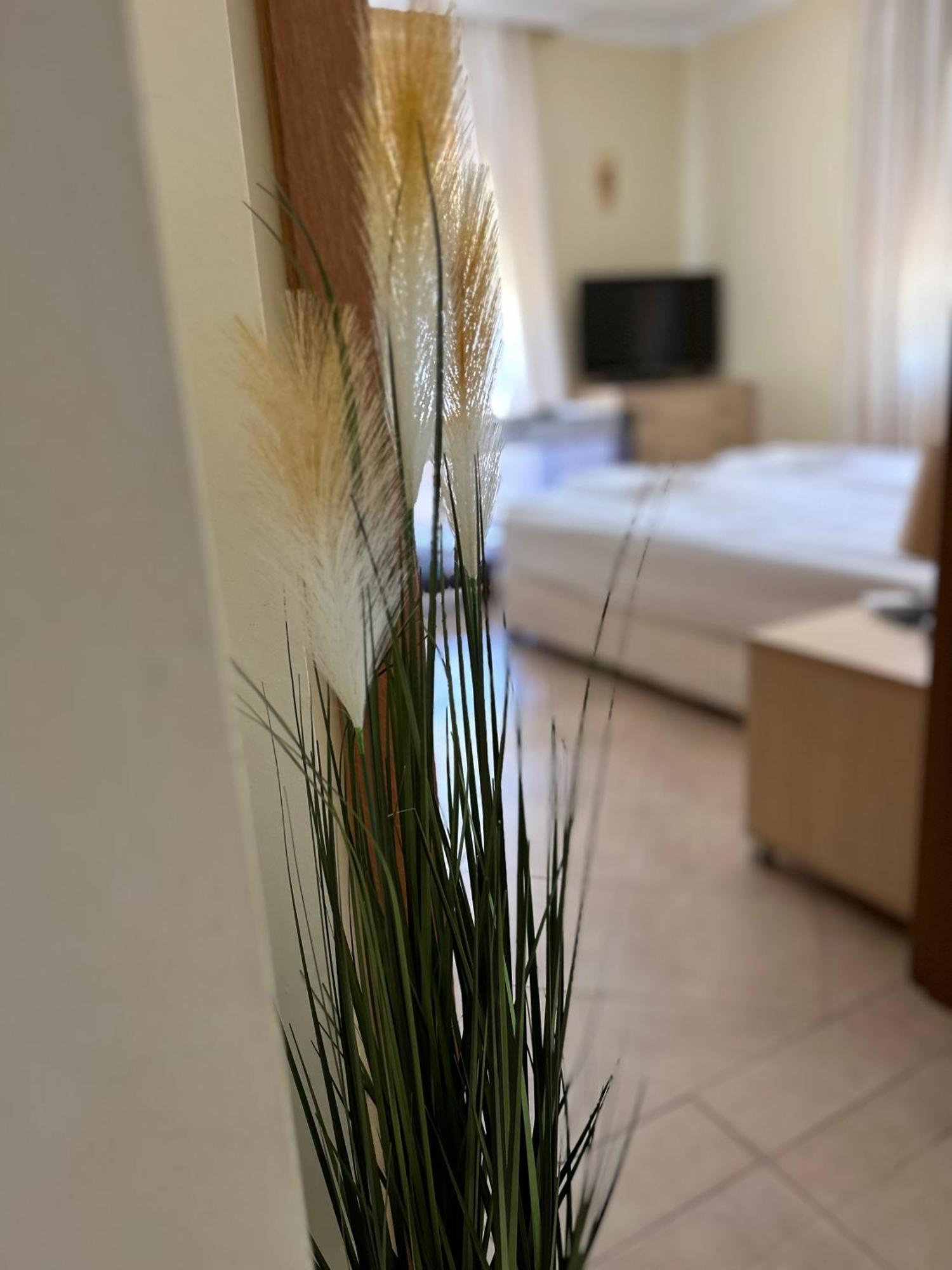 Quiet Apartment With Big Terrace In Santa Marina With Parking Sozopol Buitenkant foto